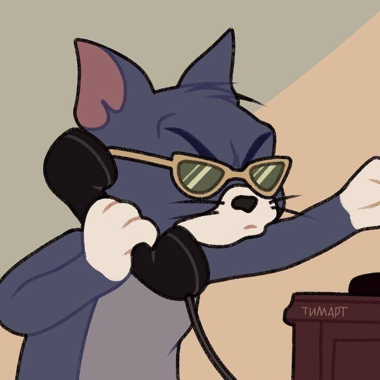 Funny Cat pfp Profile Picture with Glasses for Whatsapp