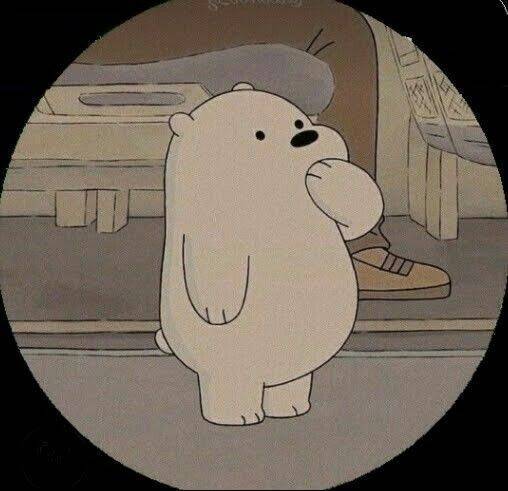 Funny Cute Bear pfp Profile Picture for Whatsapp