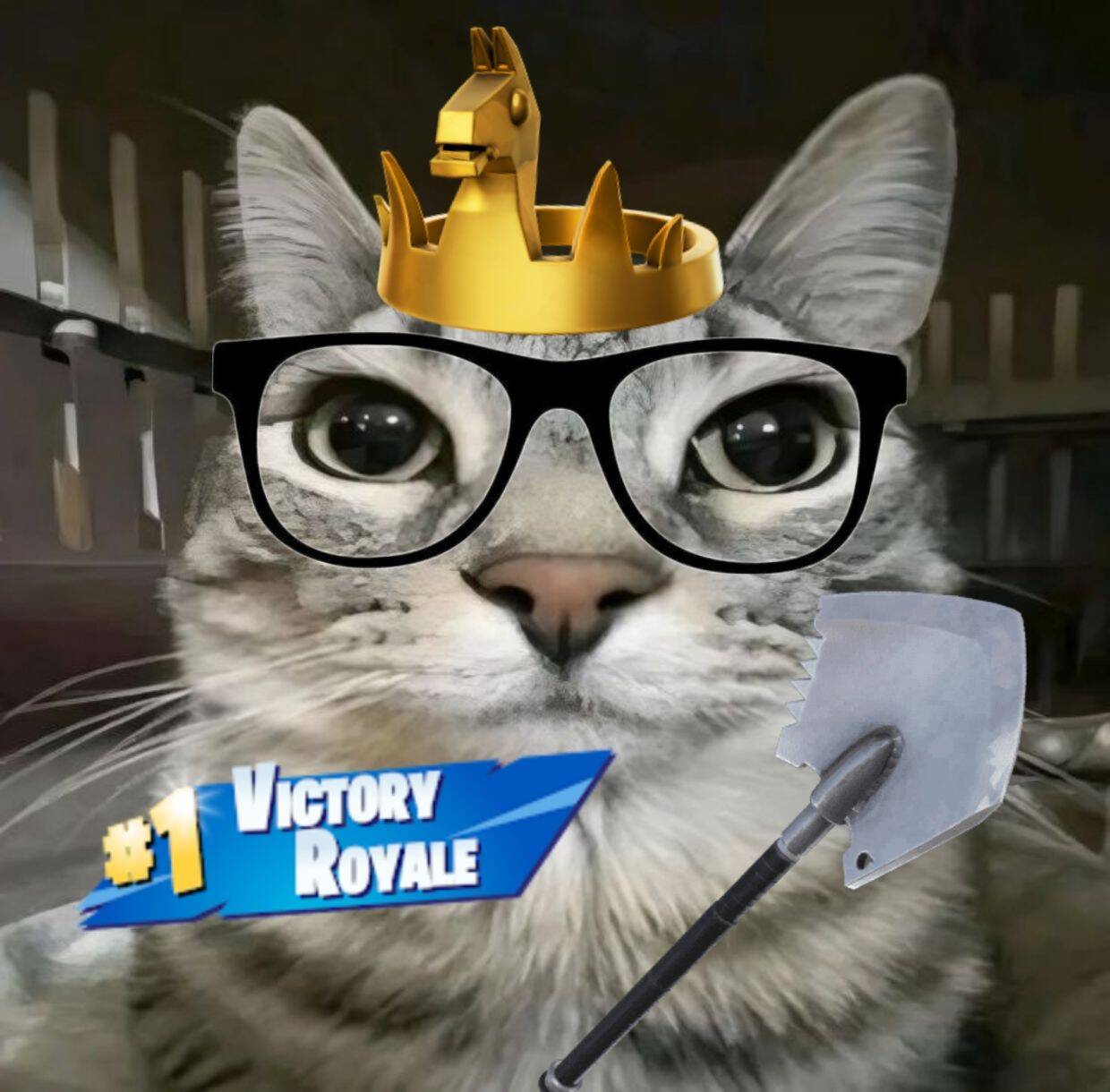 Fortnite Funny Cat pfp Profile Picture with Glasses and Crown