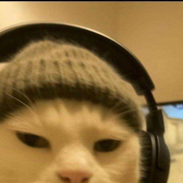 Funny Cat with Headphones pfp Profile Picture