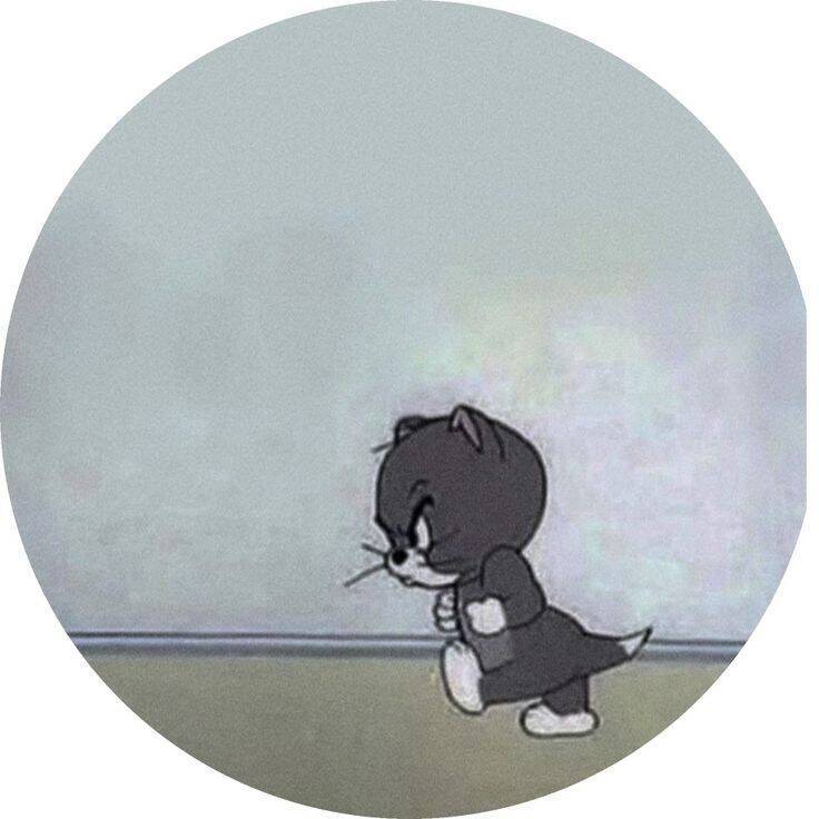 Funny Cute Cat Instagram pfp Profile Picture