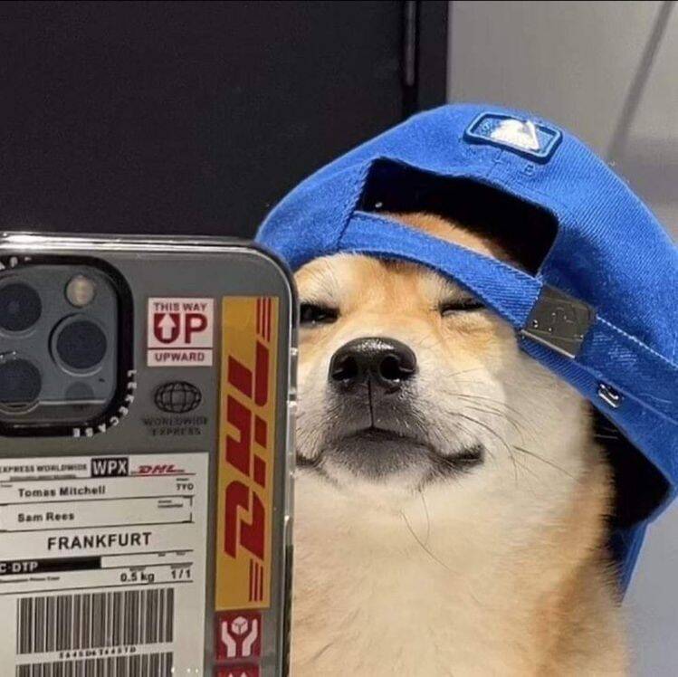 Funny Cute Dog Instagram pfp Profile Picture