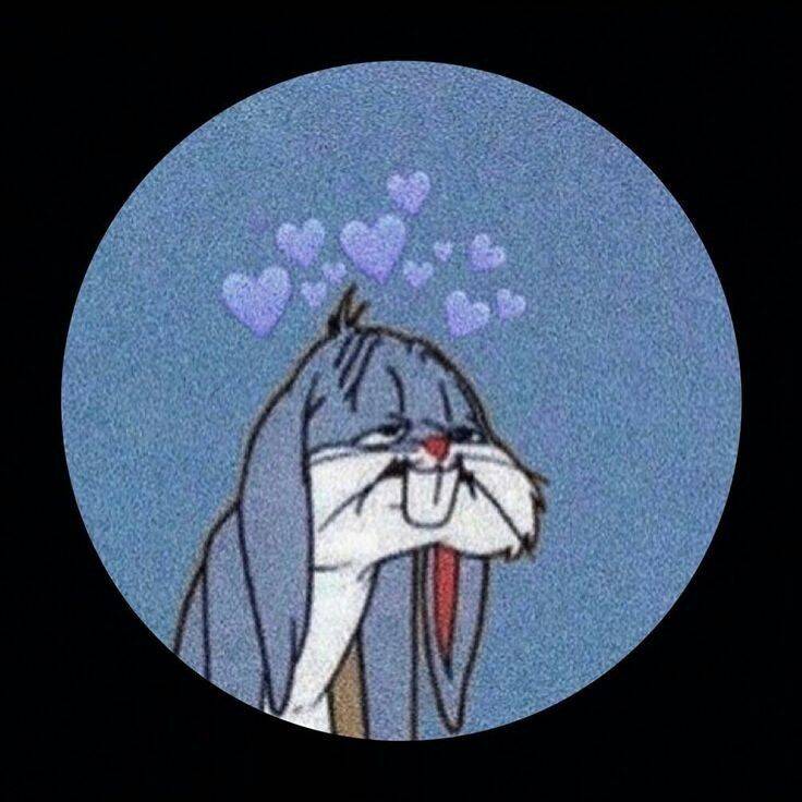 Funny Cute Bunny Instagram pfp Profile Picture