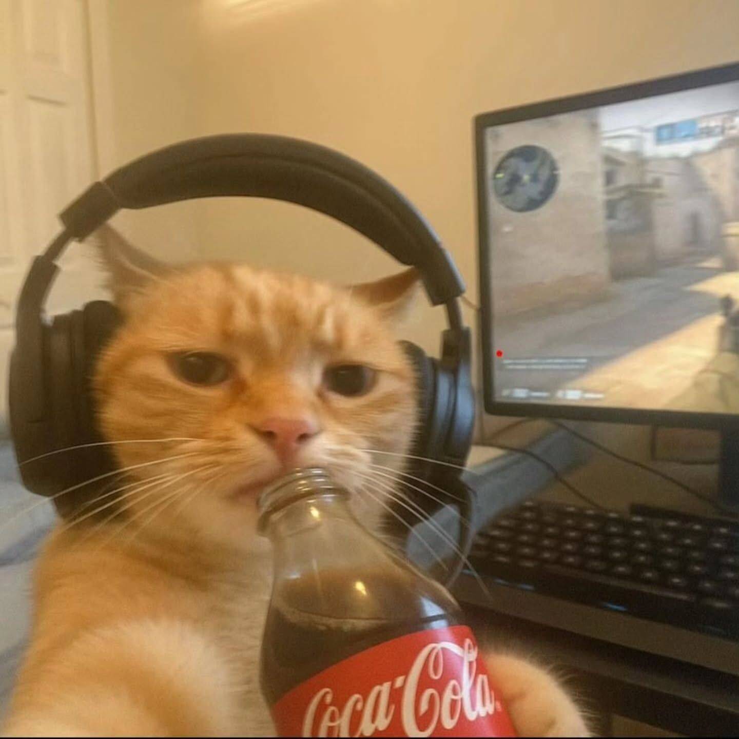 Funny Player Cat Instagram pfp Profile Picture