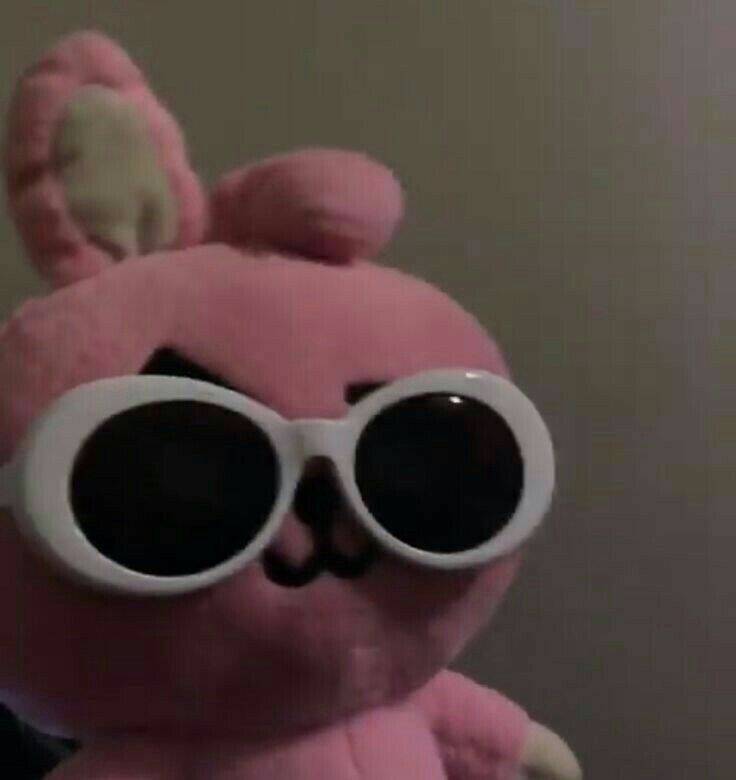 Funny Pfp Profile Picture of Rabbit with Glasses for WhatsApp