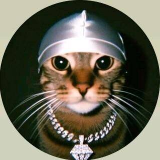 Funny Stylish Cat pfp Profile Picture
