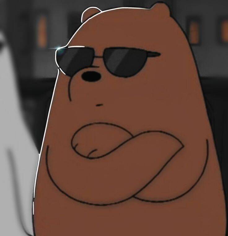 Funny Bear with Sunglasses pfp Profile Picture