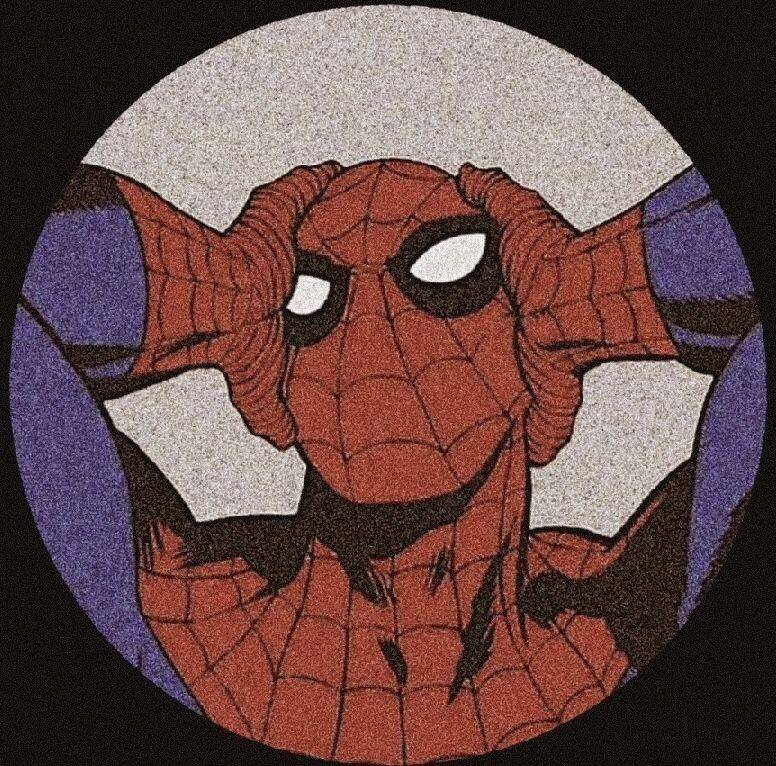 Funny Pfp Profile Picture of Spider-Man for WhatsApp