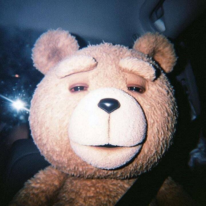 Funny Teddy Bear pfp Profile Picture