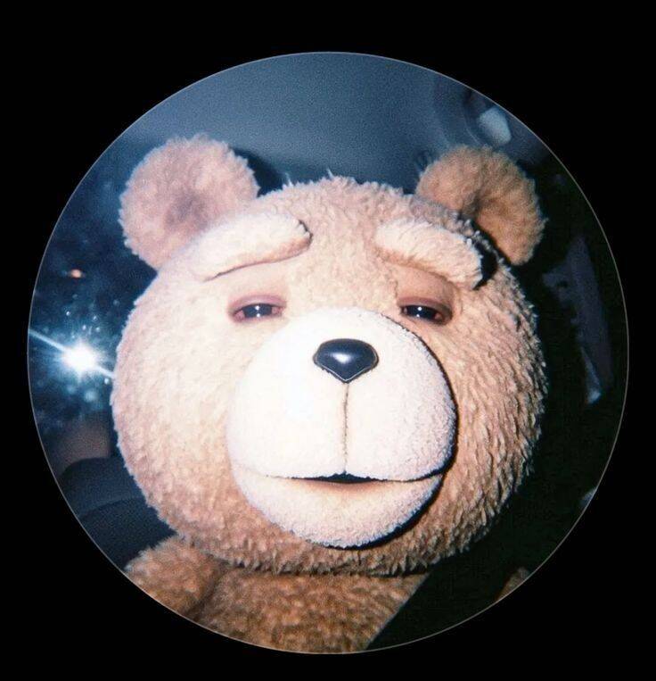 Funny Teddy Bear Whatsapp pfp Profile Picture