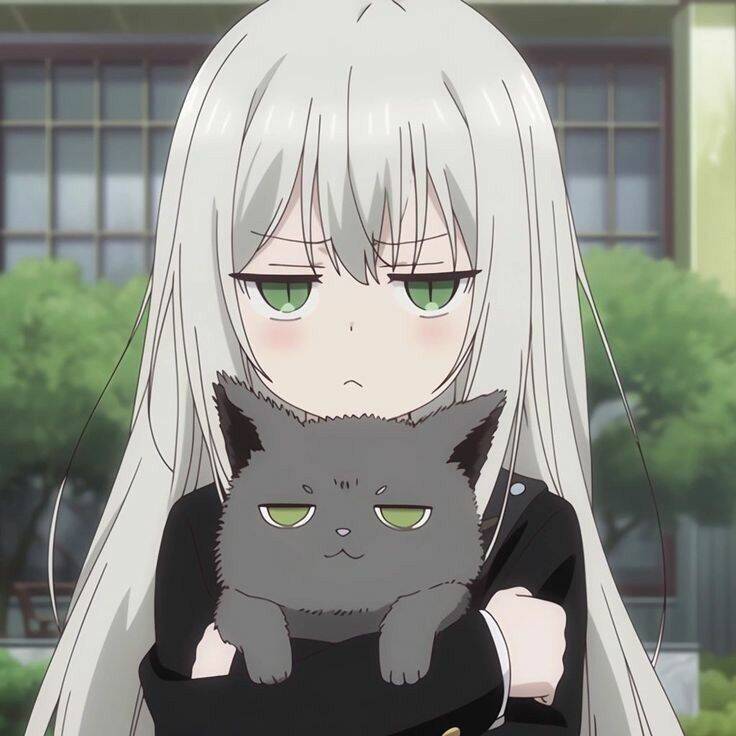 Girl with Gray Cat pfp Profile Picture