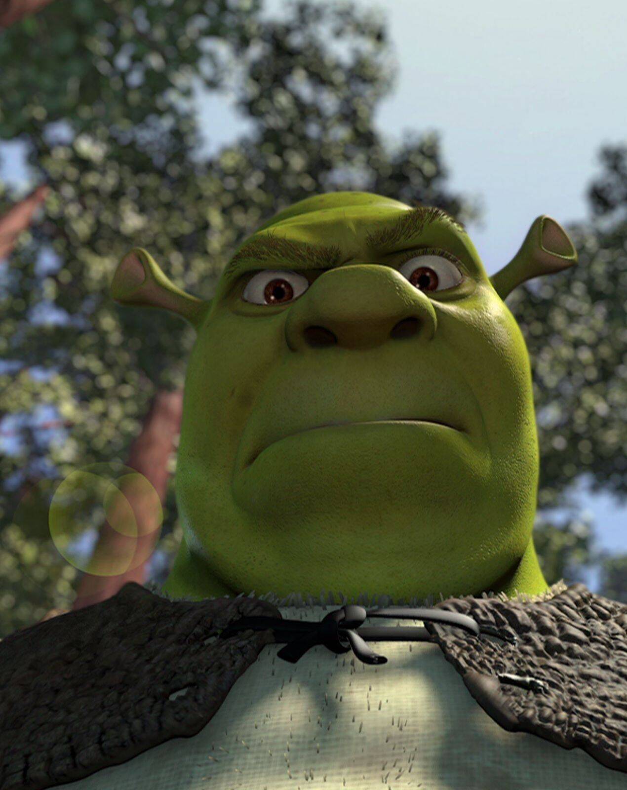 Funny Green Ogre Pfp Profile Picture with Serious Expression
