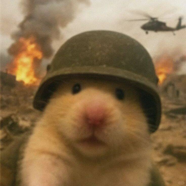 Funny Soldier Hamster Pfp Profile Picture