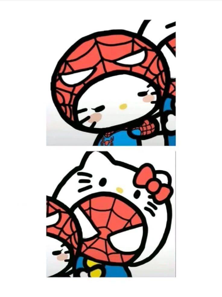 Hello Kitty and Spider-Man pfp Profile Picture for Matching Couple
