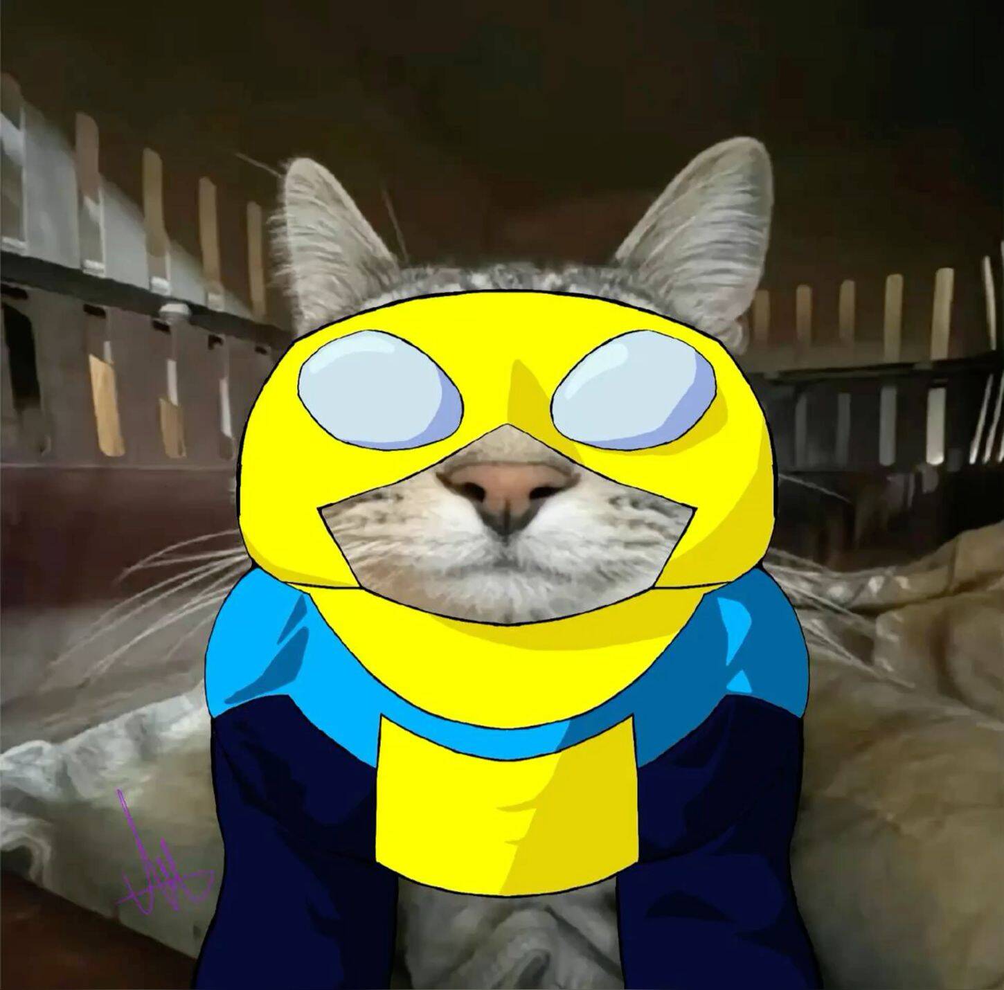 Invincible Cat in Superhero Costume pfp Profile Picture