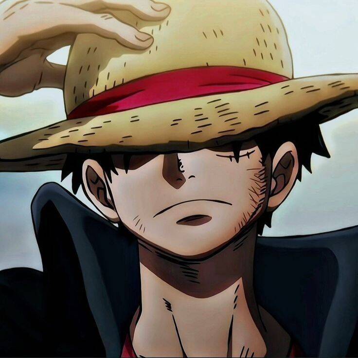 Luffy from One Piece pfp Profile Picture