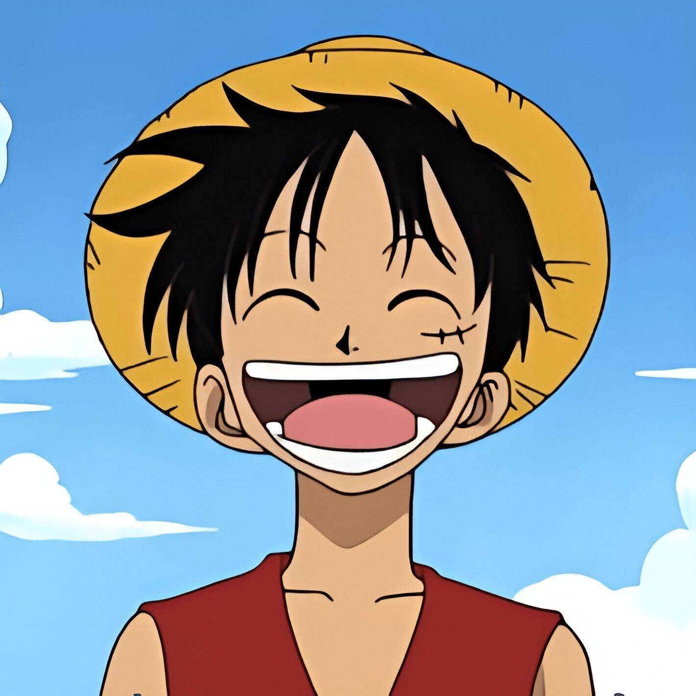 Smiling Luffy pfp Profile Picture