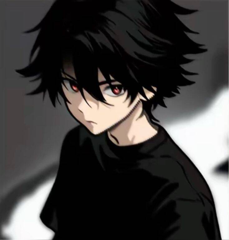 Anime Boy​ pfp Profile Picture with Black Hair