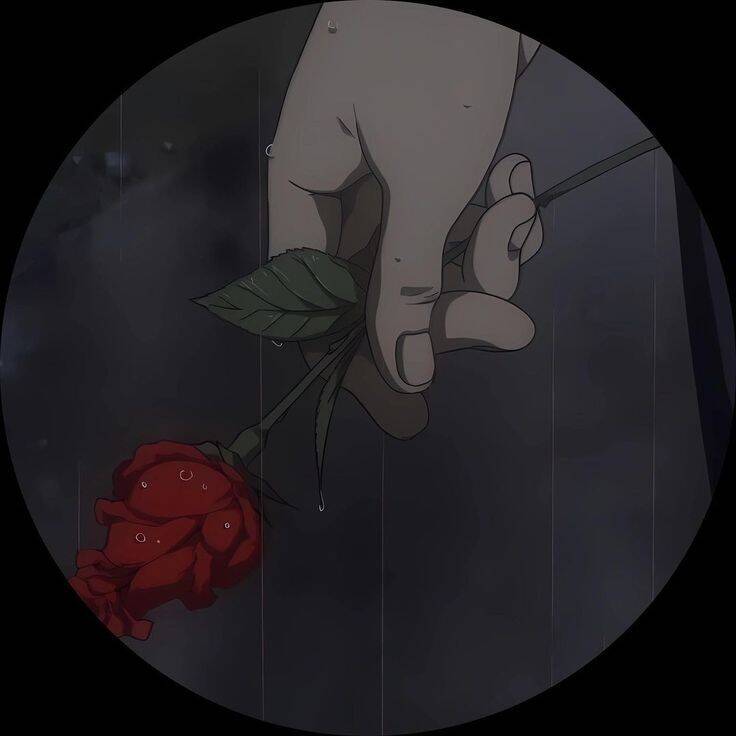 Boy​ pfp Profile Picture with Rose