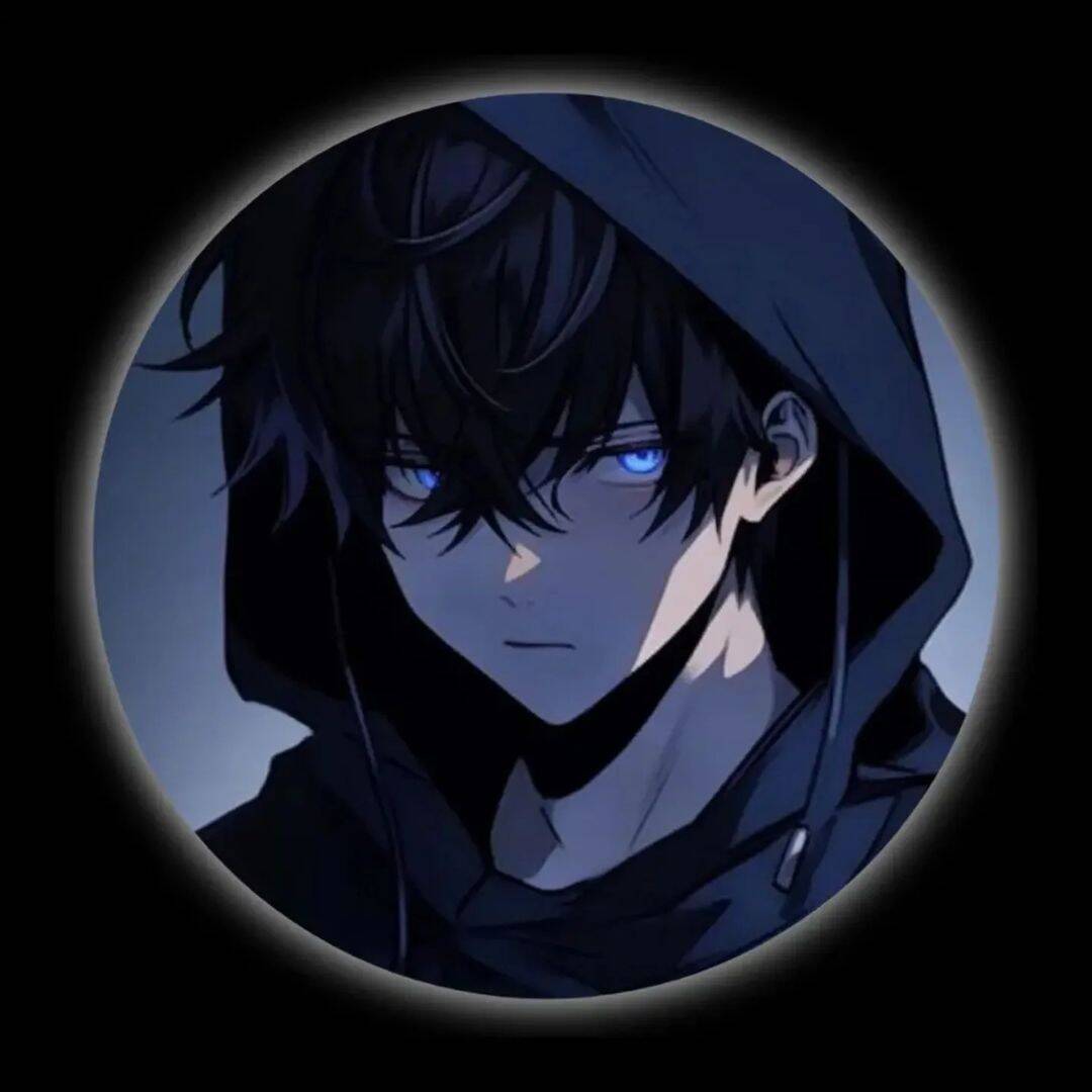 Mysterious Hooded Character pfp Profile Picture