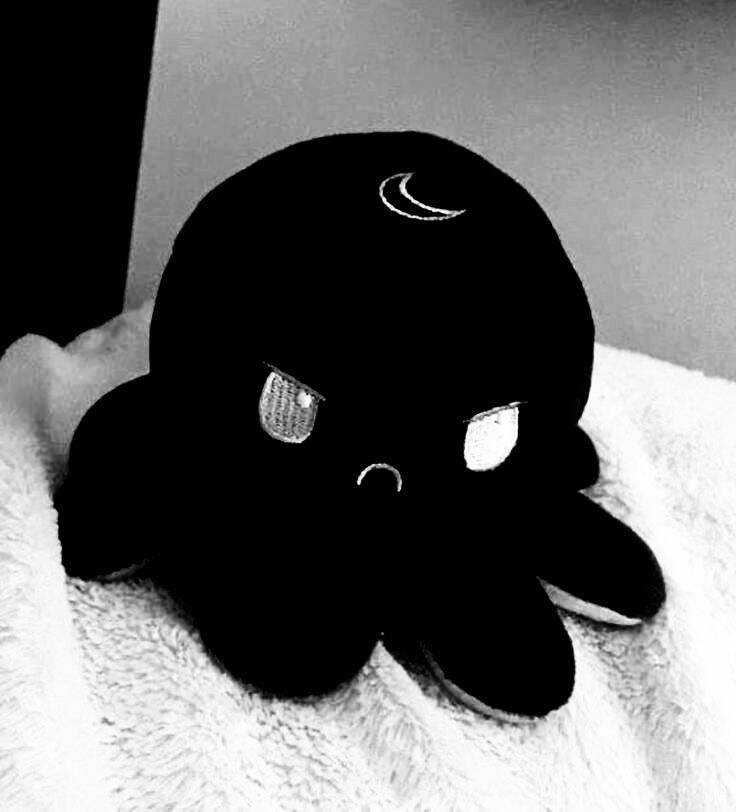 Black Profile of Plush Octopus pfp Profile Picture
