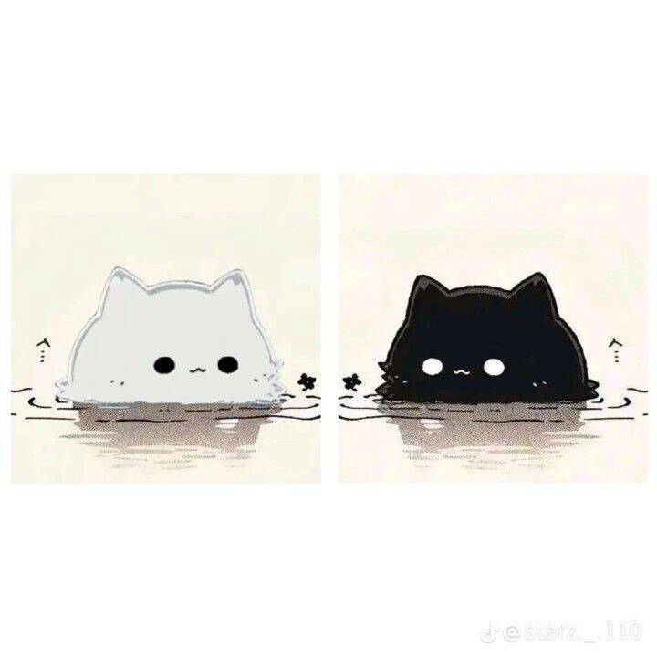 Adorable Kittens Matching Couple pfp Profile Picture