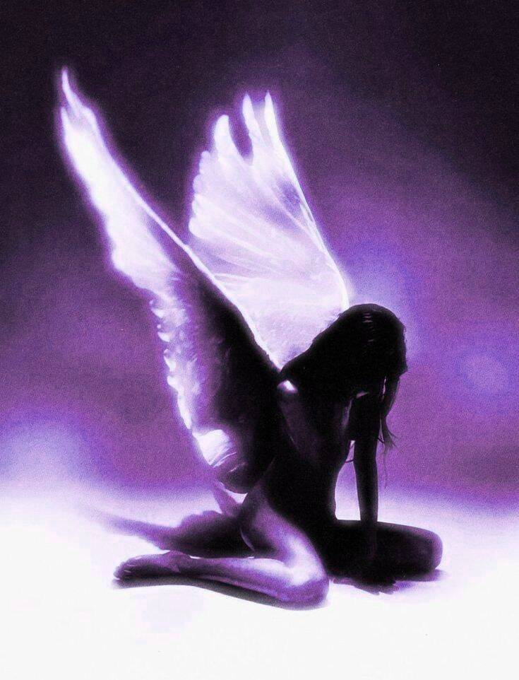 Purple pfp Profile Picture of Angel with Glowing Wings
