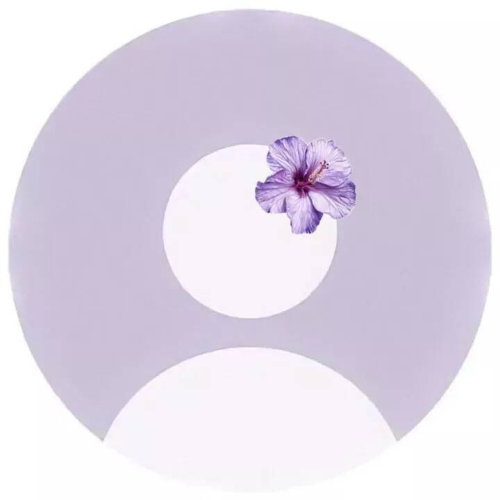 Purple Profile Picture with Beautiful Flower pfp Profile Picture