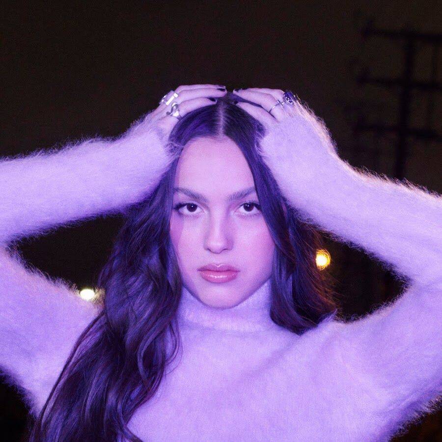 Purple pfp Profile Picture with Elegant Style