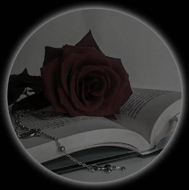 Romantic Style pfp Profile Picture with Rose and Book