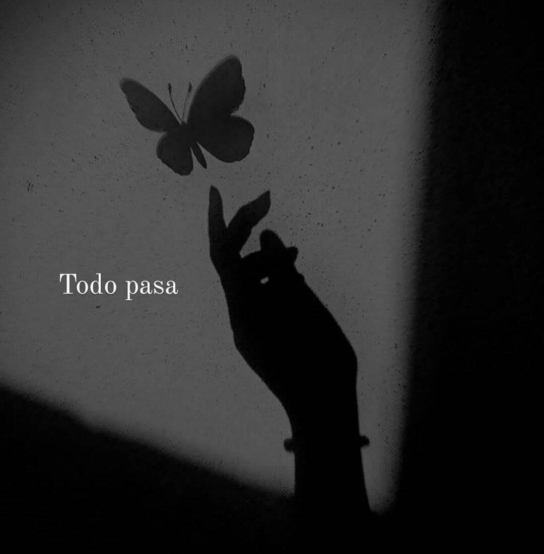 Sad pfp Profile Picture of Hand Attracting Butterfly