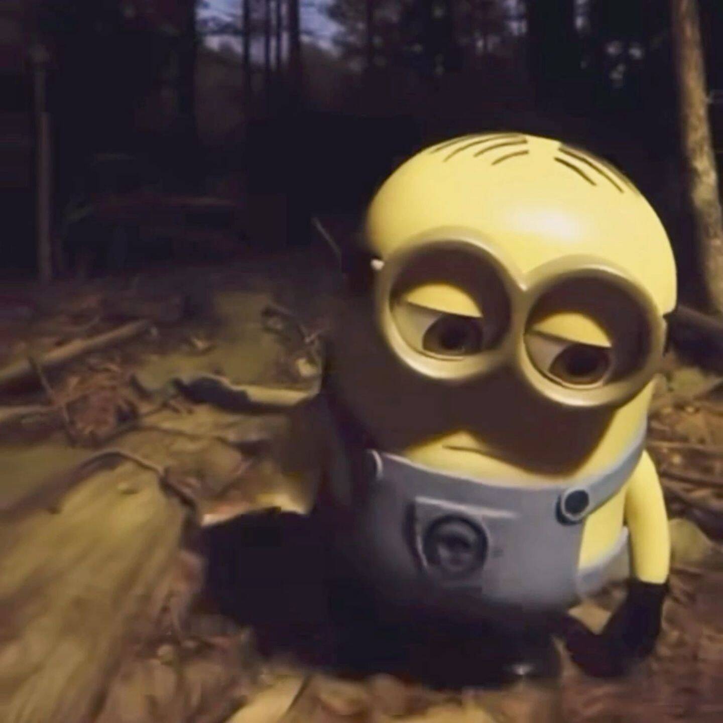 Sad pfp Profile Picture of Minion Alone in the Forest