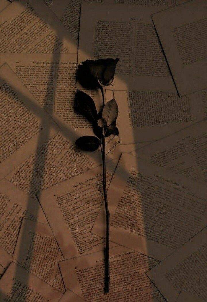 Sad pfp Profile Picture of Rose on Book Pages