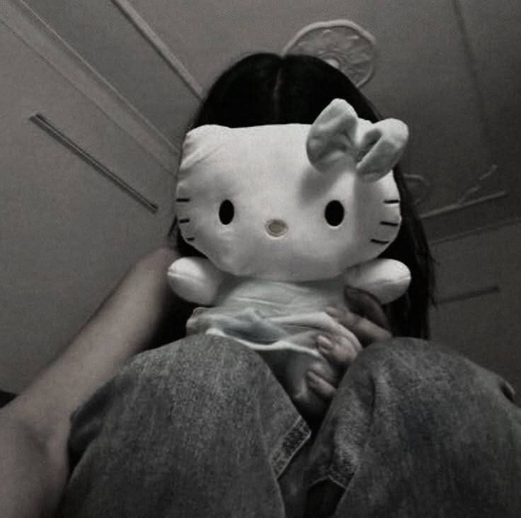 Kitten Plush Toy pfp Profile Picture