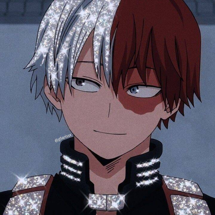 Brilliant Shoto Todoroki pfp Profile Picture