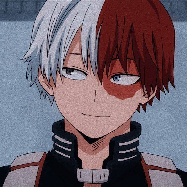 Shoto Todoroki pfp Profile Picture