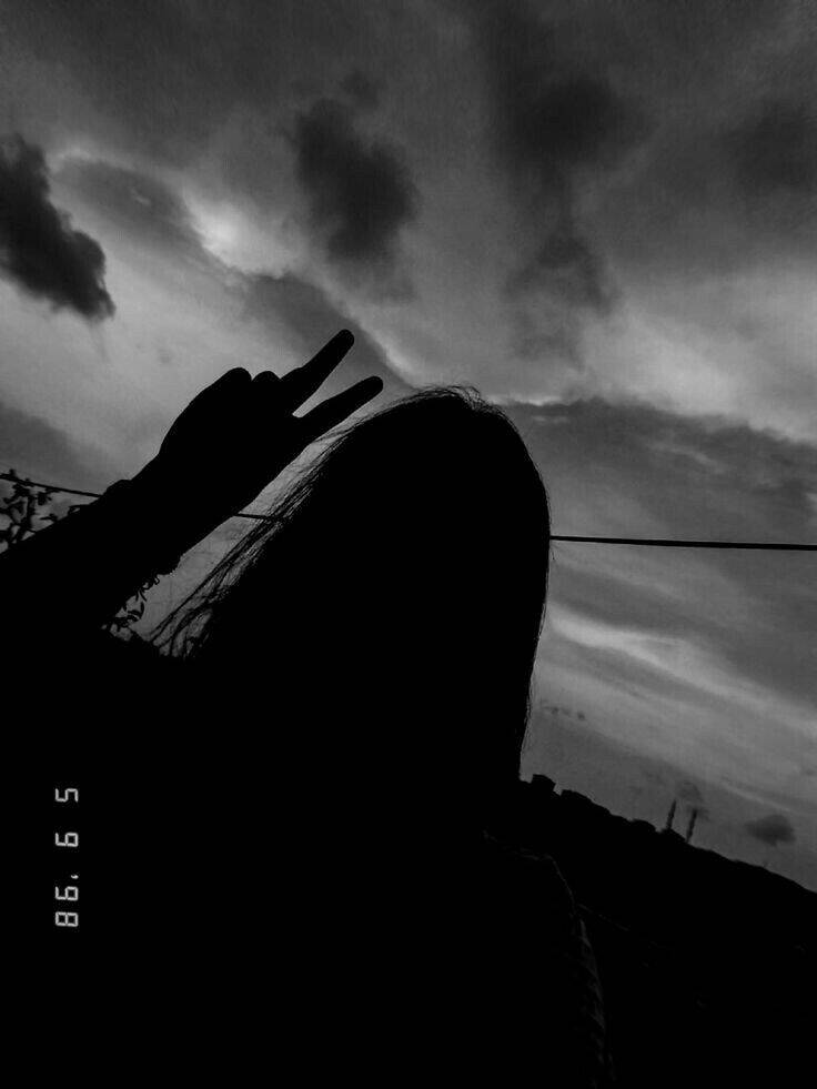 Girl​ pfp Profile Picture with Peace Sign in Silhouette