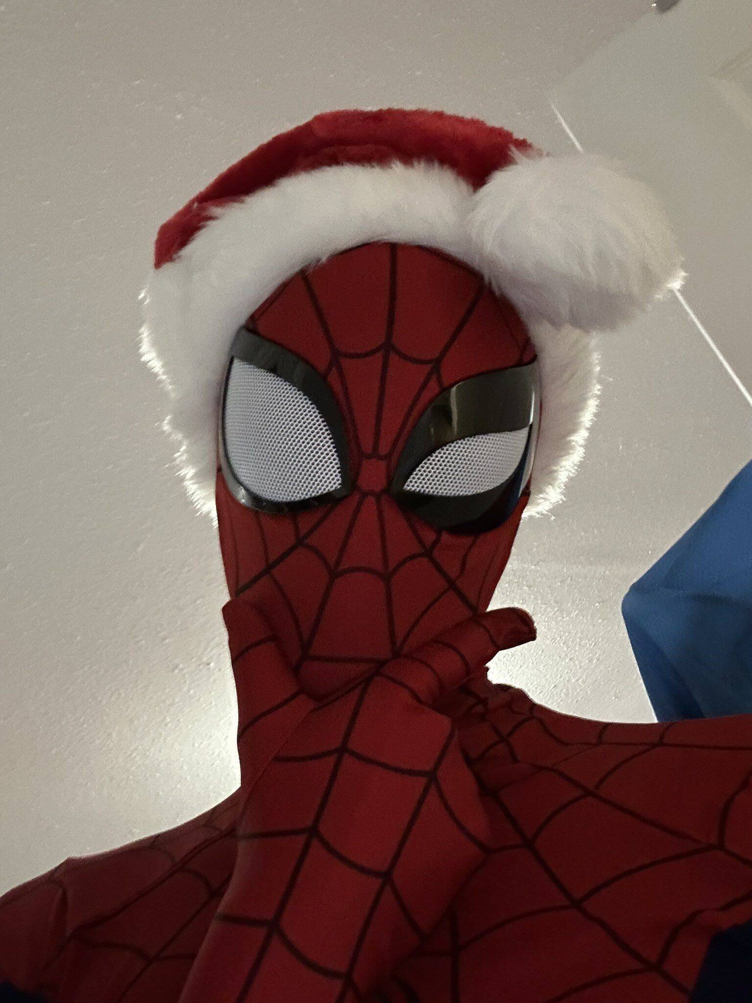 Spider-Man pfp Profile Picture with Christmas Hat Boy​