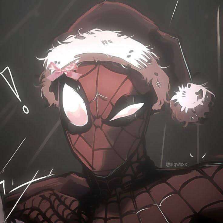 Spider-Man pfp Profile Picture with Christmas Hat