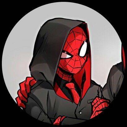 Spider-Man pfp Profile Picture with Hood