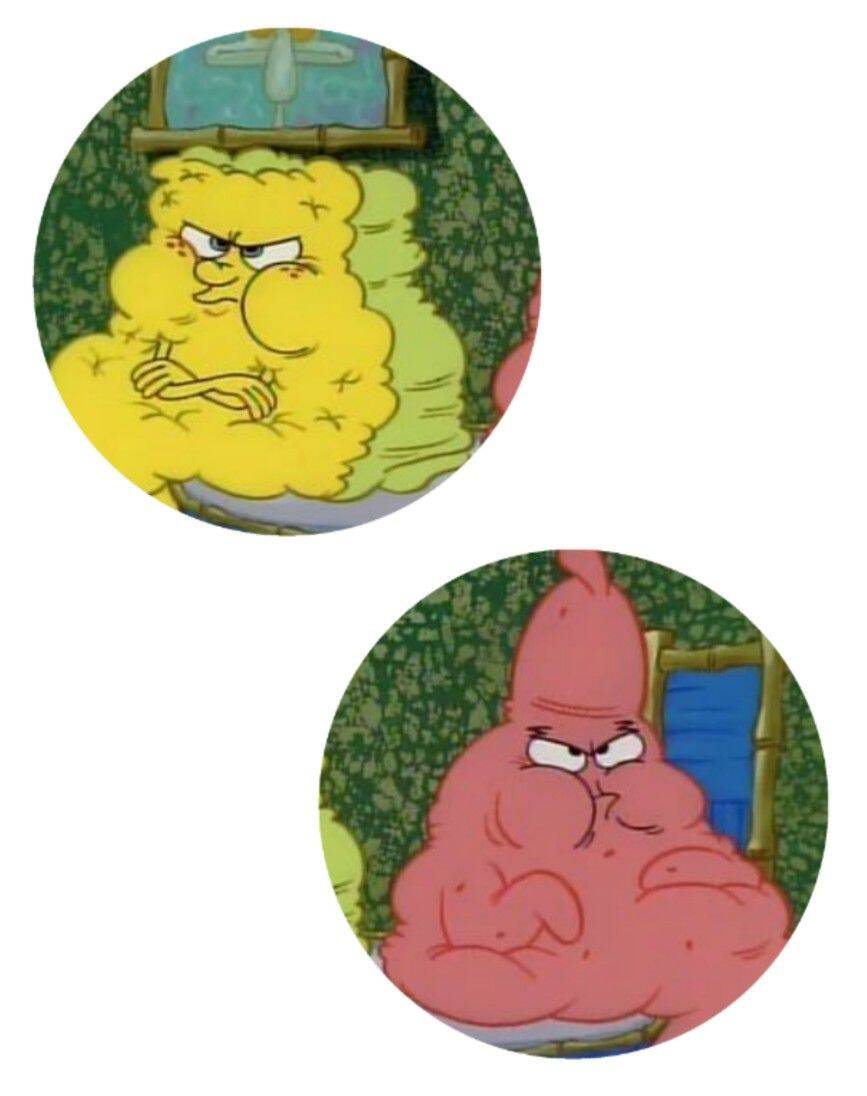 SpongeBob and Patrick Matching Couple pfp Profile Picture