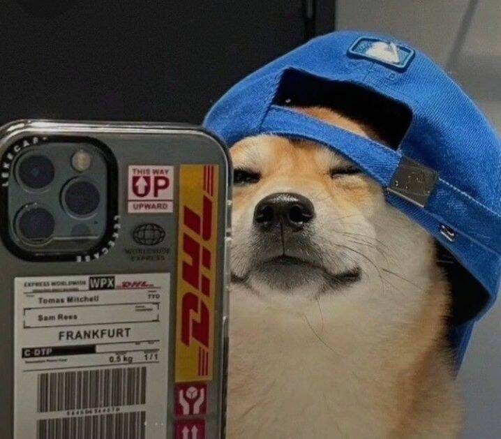 Stylish Dog Boy​ pfp Profile Picture with Cap