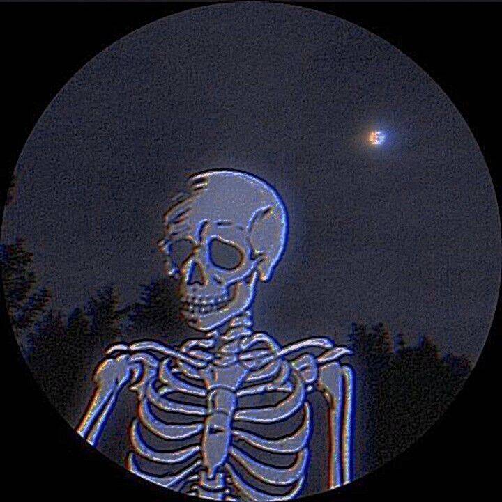 Stylish Skeleton Pfp Profile Picture for WhatsApp