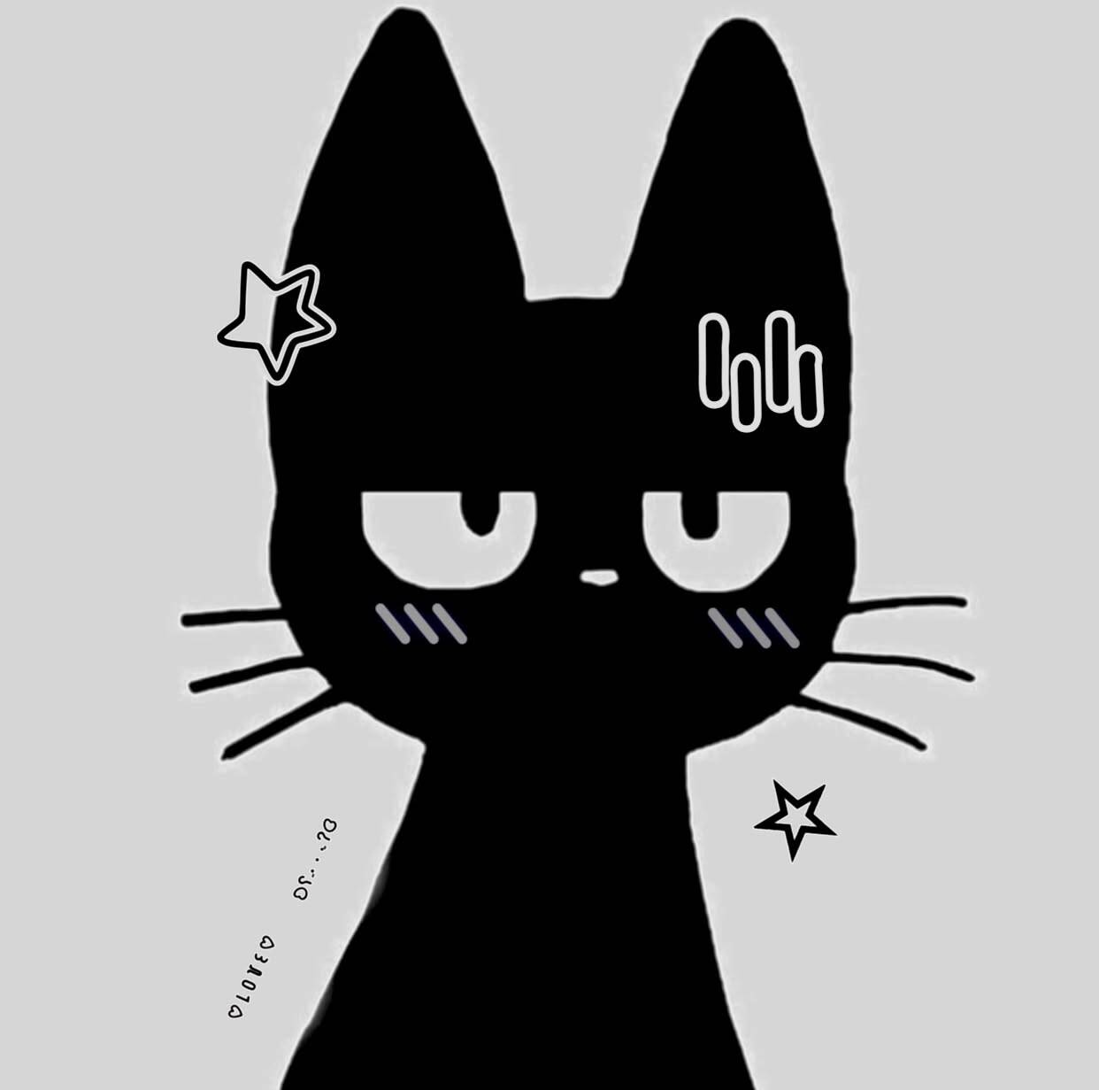 Black pfp Profile Picture of Stylized Cat with Stars