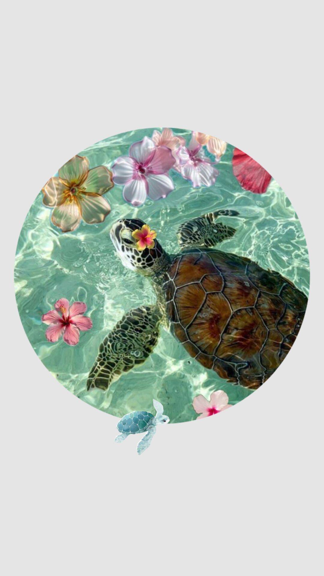 TikTok pfp Profile Picture of Turtle with Flowers