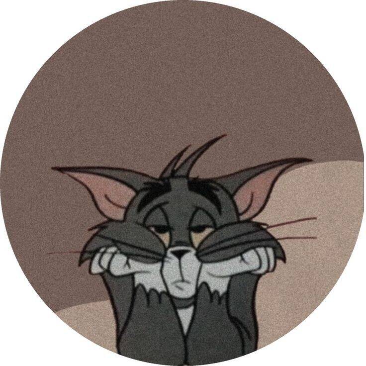 Sad Cat Pfp Profile Picture for WhatsApp