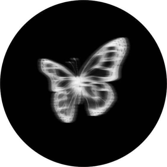 Black Profile of White Butterfly pfp Profile Picture