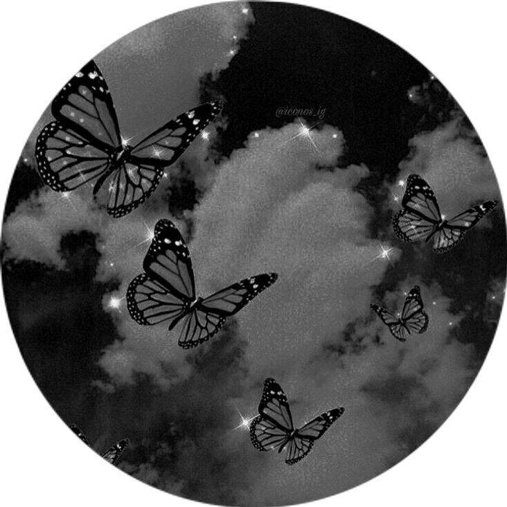 Butterflies on Cloudy Background pfp Profile Picture