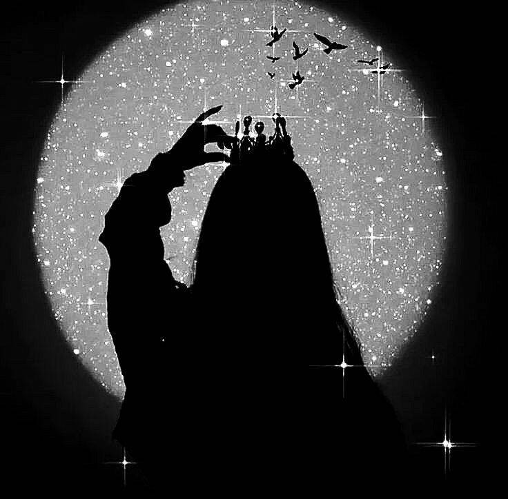 Crown and Starry Moon pfp Profile Picture