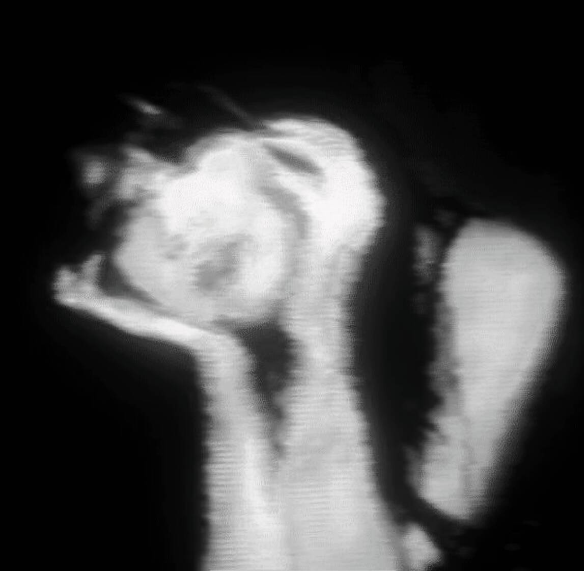Black pfp Profile Picture of Woman with Hands on Face